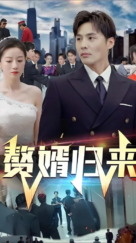 赘婿归来